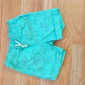 2T Cat and Jack green shorts with iguanas